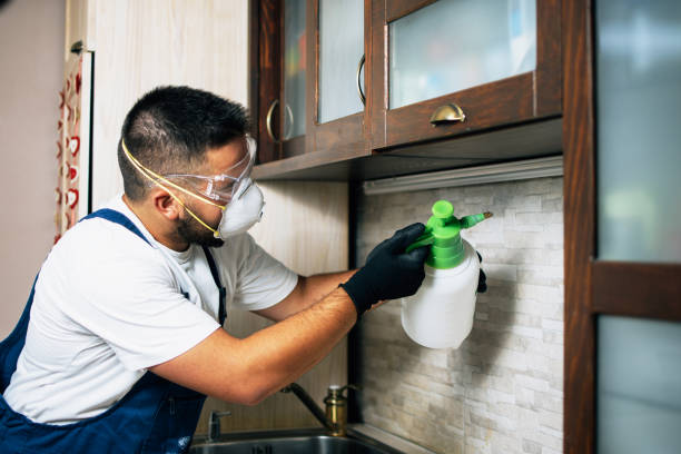 Best Best Pest Control Companies  in Bondurant, IA