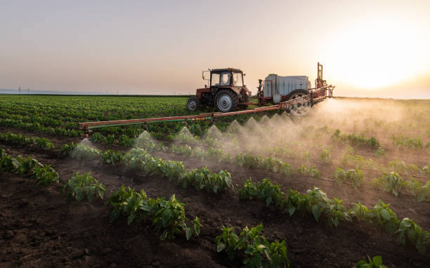 Best Insect Control  in Bondurant, IA