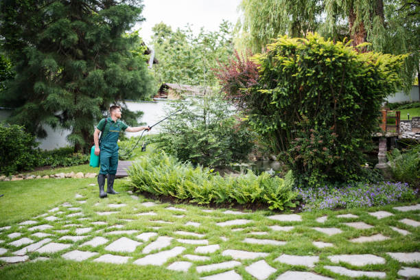 Reliable Bondurant, IA Pest Control Solutions