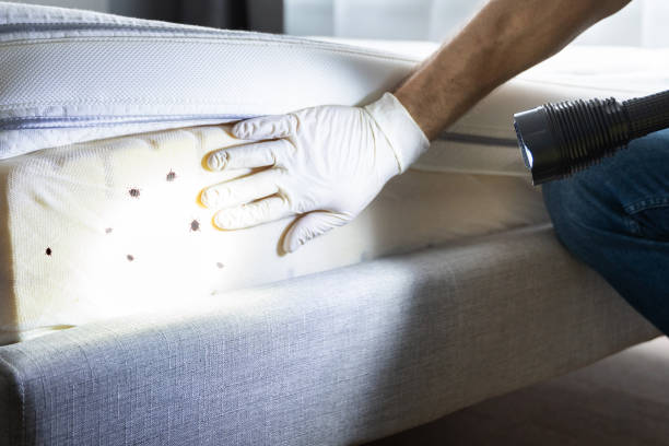 Best Exterminator Services  in Bondurant, IA