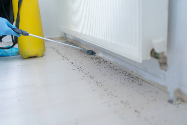 Best Residential Pest Control  in Bondurant, IA