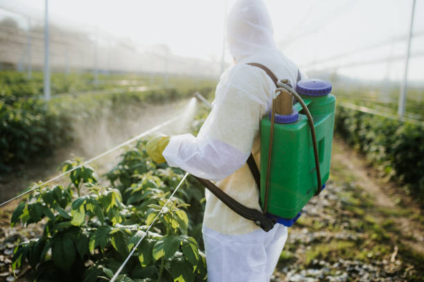 Best Local Pest Control Services  in Bondurant, IA